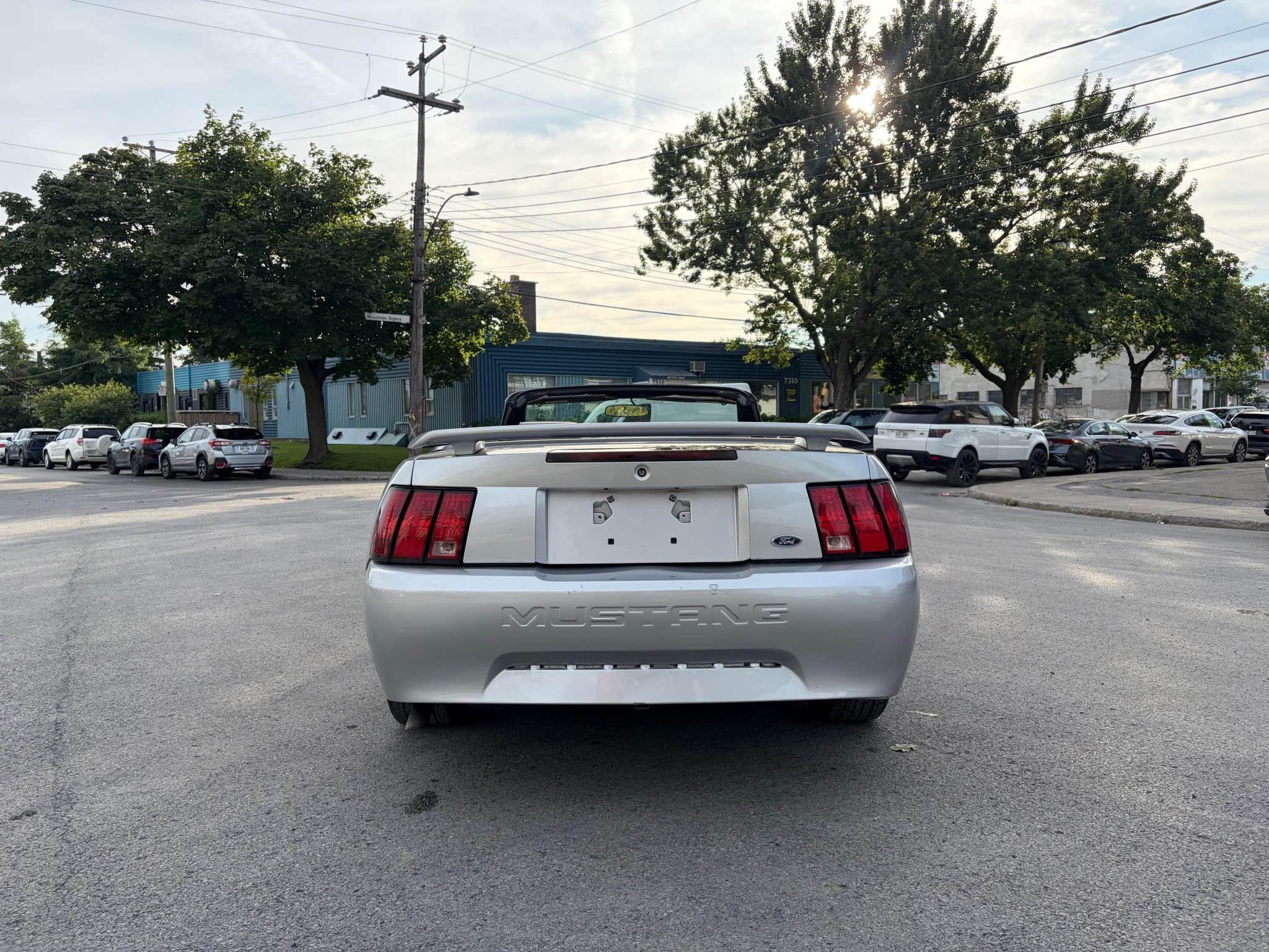 2003 Ford Mustang, photo 4
