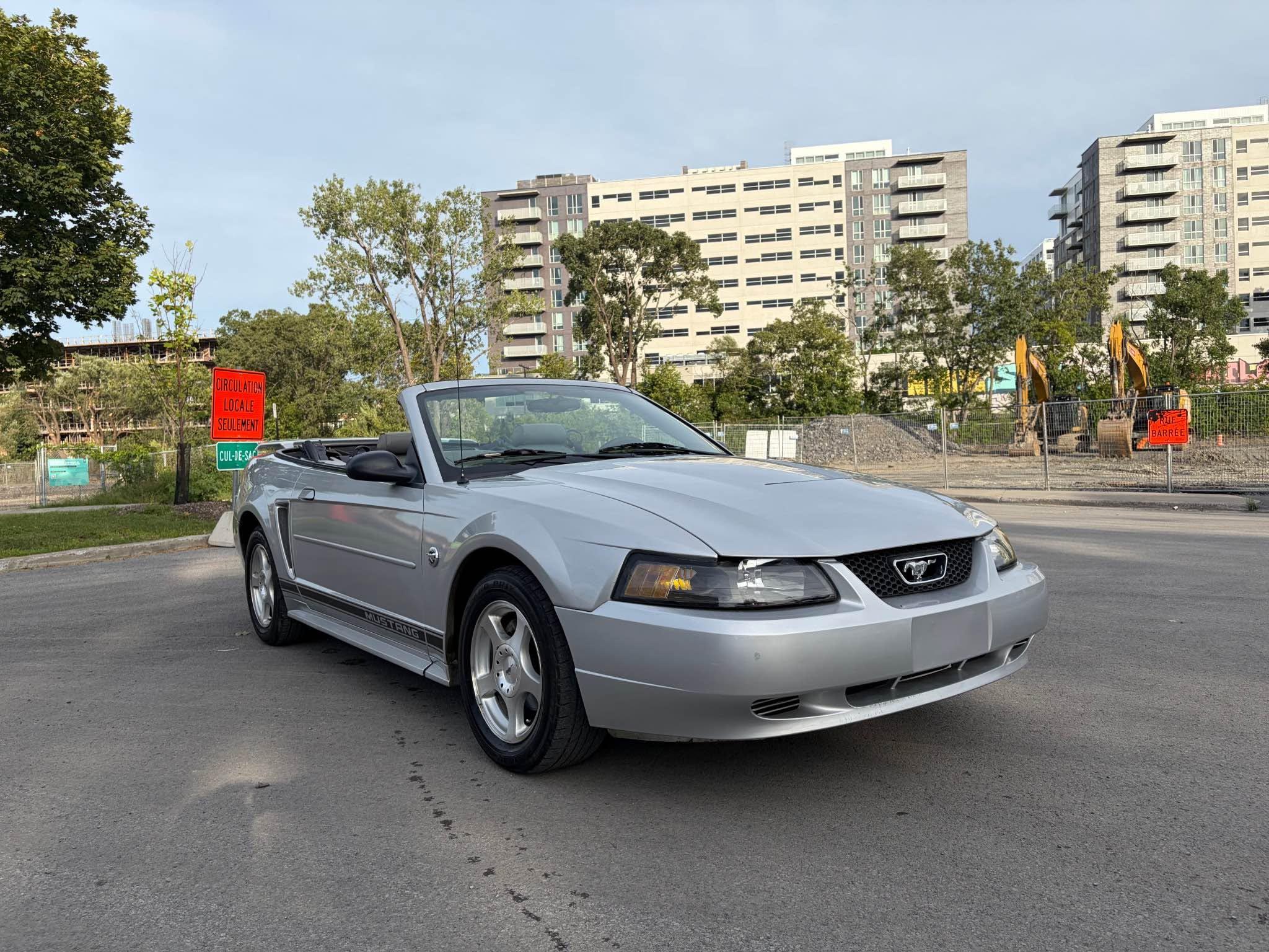 2003 Ford Mustang, photo 7